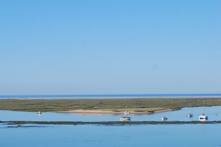Eco Boat Tour in the Ria Formosa Lagoon from Faro