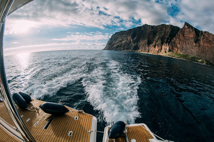 VipDolphins Luxury Whale Watching