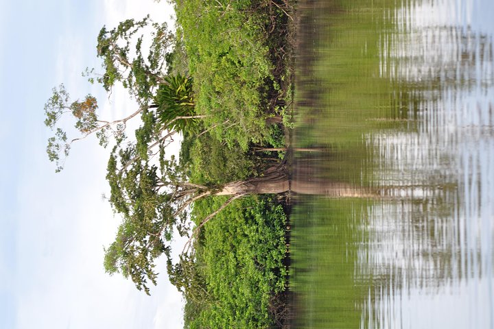 Cuyabeno 4 Day Jungle Tour