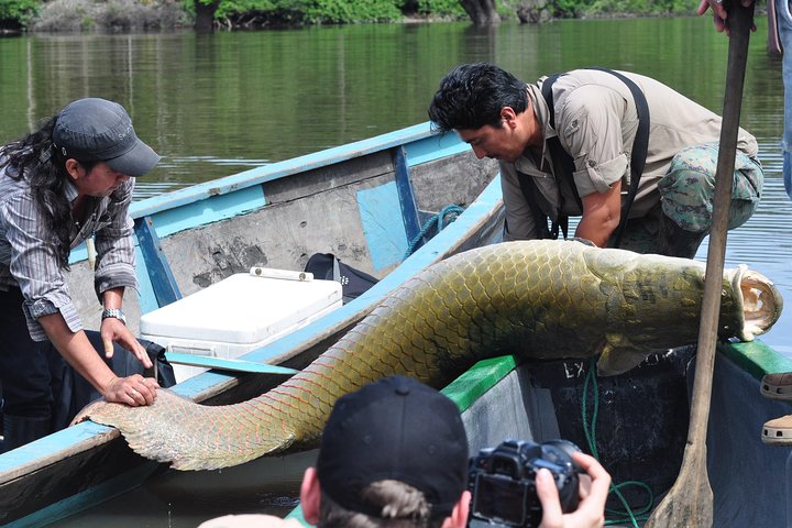 Cuyabeno 4 Day Jungle Tour