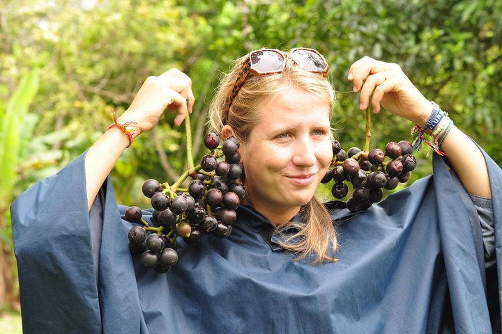 Cuyabeno 4 Day Jungle Tour