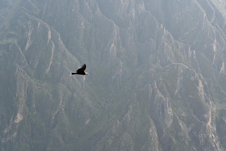 Full Day trip from Arequipa to Colca Canyon ending in Puno