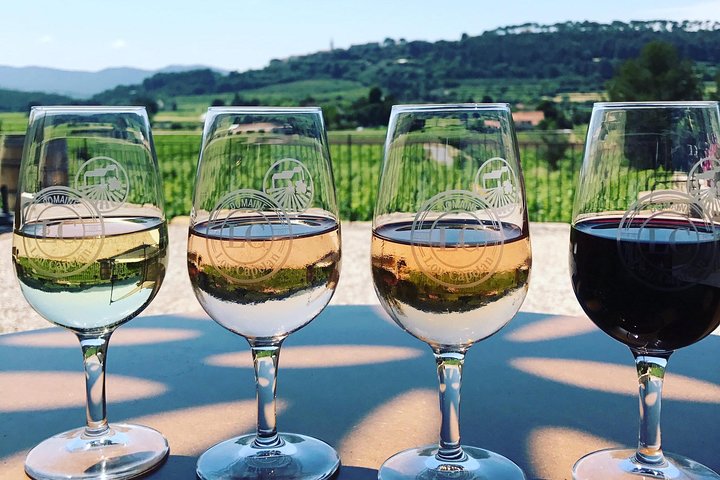 Tasting Bandol Wines & Visit of Cellar (in English)