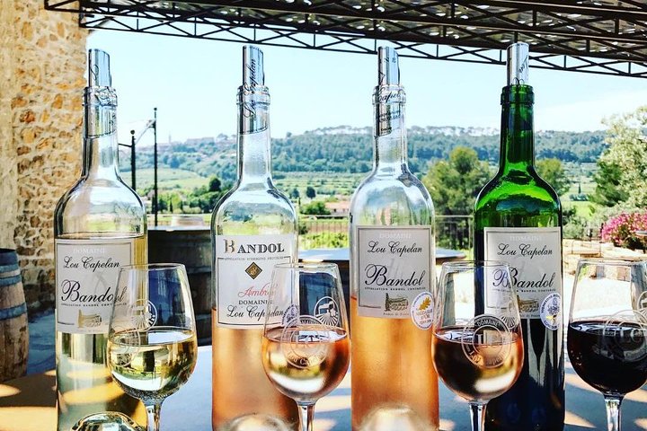 Tasting Bandol Wines & Visit of Cellar (in English)