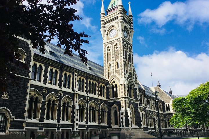 Dunedin City Highlights, Otago Peninsula Scenery & Albatross Guided Tour