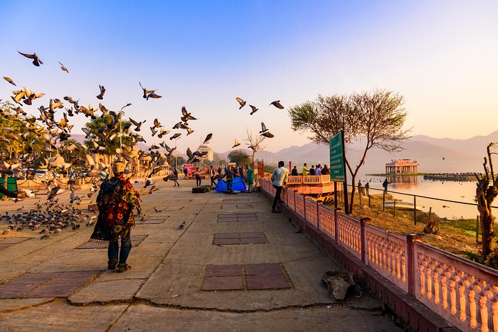 Jaipur Amer Fort, Jal Mahal & Stepwell Private Half-Day Tour
