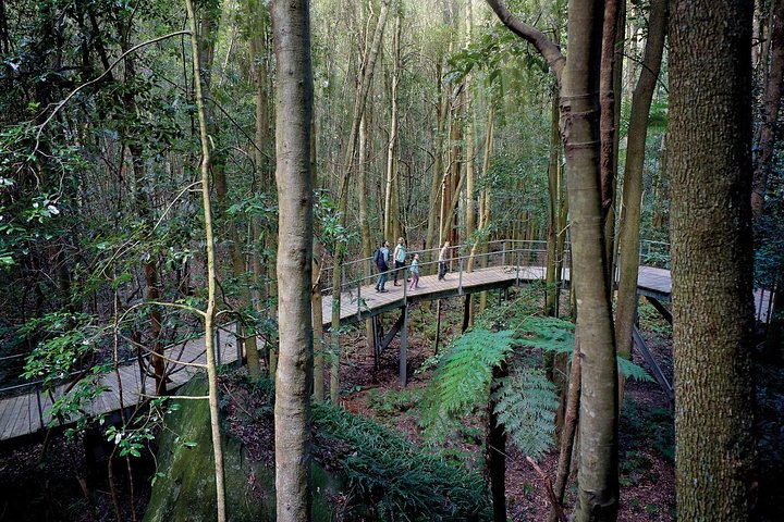 Blue Mountain Small Group Tour All Inclusive
