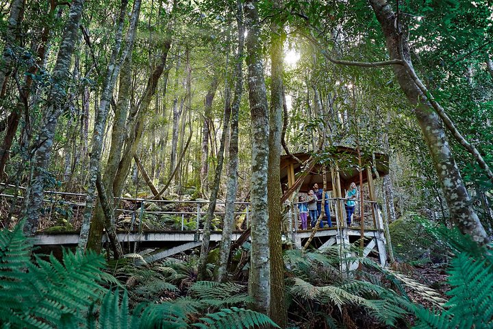 Blue Mountain Small Group Tour All Inclusive