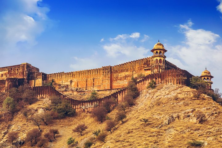 Jaipur Amer Fort, Jal Mahal & Stepwell Private Half-Day Tour