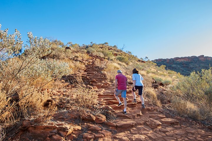 Kings Canyon Day Trip from Ayers Rock (Uluru)