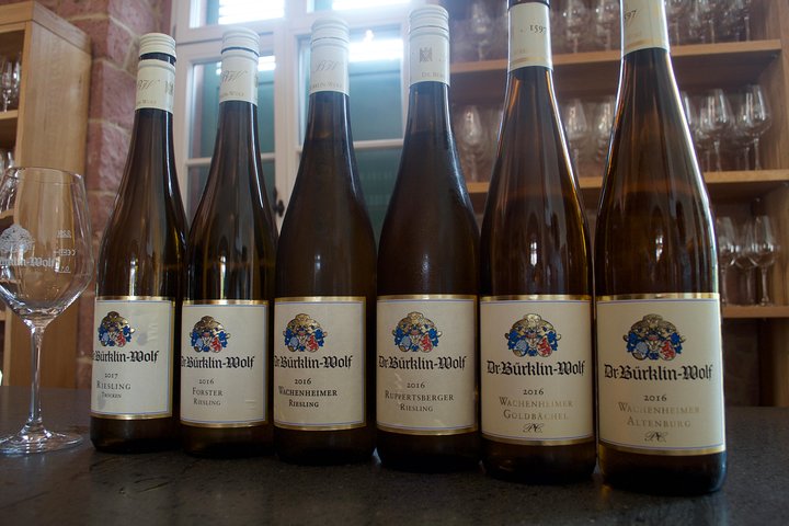 Rhine Valley Wine Tasting Tour from Frankfurt and Mainz