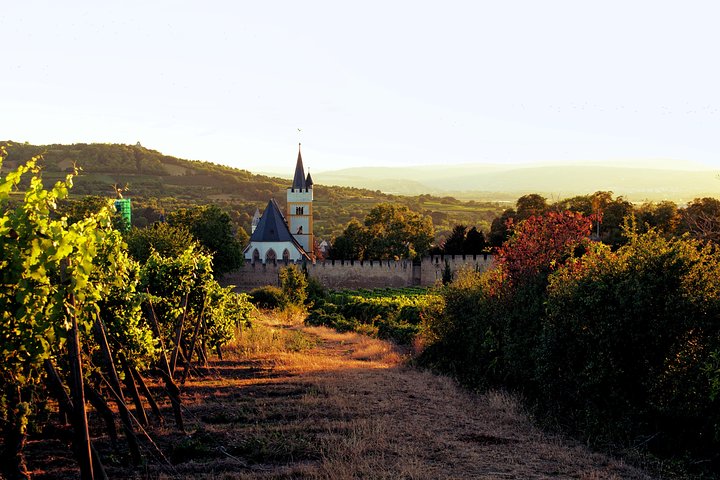 Rhine Valley Wine Tasting Tour from Frankfurt and Mainz