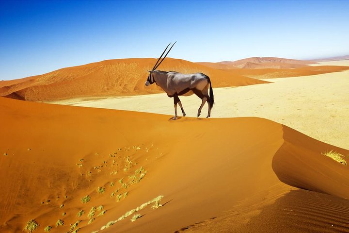 3 Day Sossusvlei Experience with Lodging