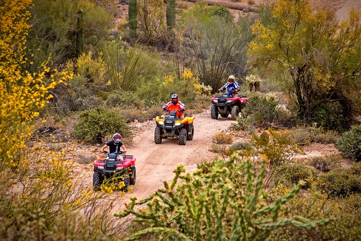 Guided Arizona Desert Tour by ATV - Centipede Tour