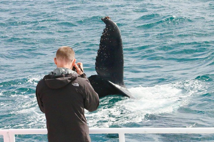 Dunsborough Whale Watching Tour