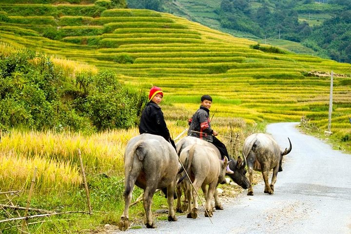 Sapa 2 Days 1 Night From Hanoi - Overnight in Ta Van Village