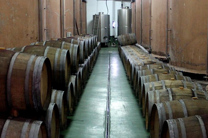 Visit Bodegas Teneguía winery in La Palma with wine Tasting