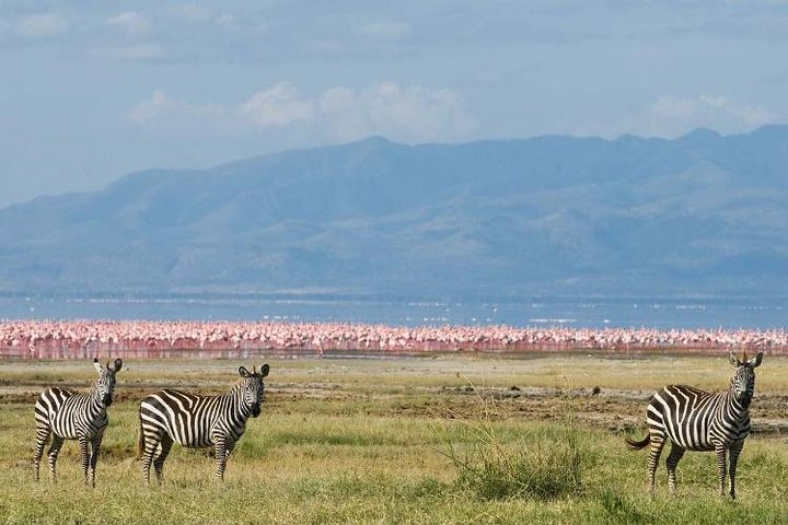 10-Day Kenya & Tanzania 4WD Safari Adventure