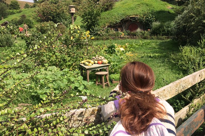 Hobbiton Movie Set Tour with lunch from Auckland