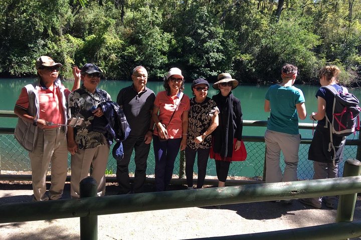 Full-Day Osorno Volcano and Petrohue Falls Small-Group Tour