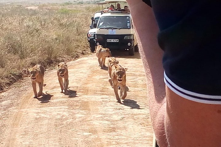 Safari Tour; Nairobi National Park