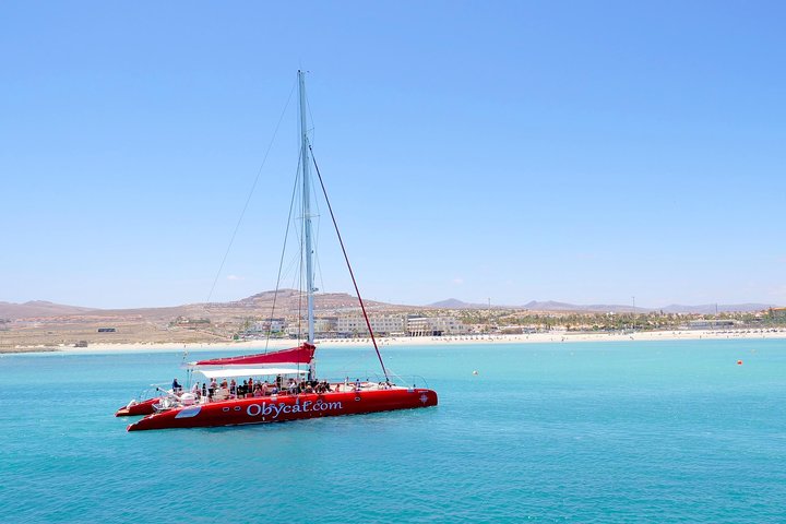 Catamaran Half-Day Cruise from Caleta de Fuste
