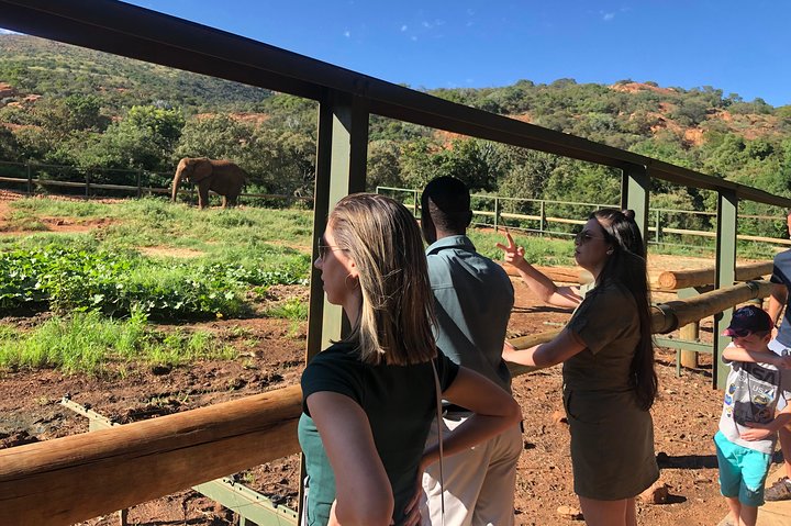 Elephant Sanctuary Tour from Johannesburg