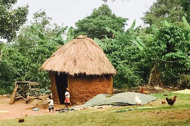 Lake Victoria Island Cycling Tour from Kampala