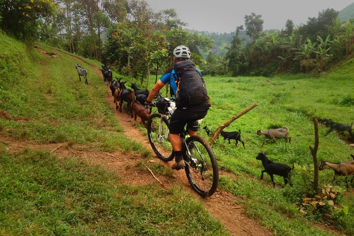 Lake Victoria Island Cycling Tour from Kampala