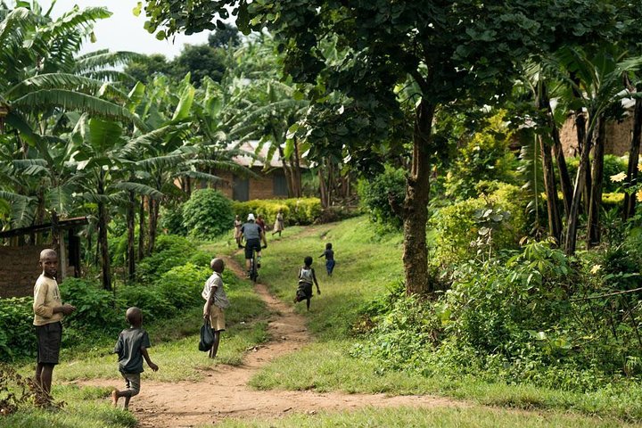 Lake Victoria Island Cycling Tour from Kampala
