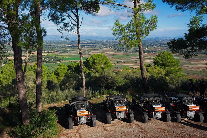 "Cala Millor & Sa Coma: TOP Buggy Tours – your mega experience!"