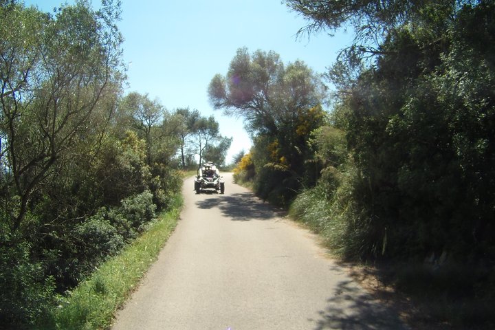 "Cala Millor & Sa Coma: TOP Buggy Tours – your mega experience!"