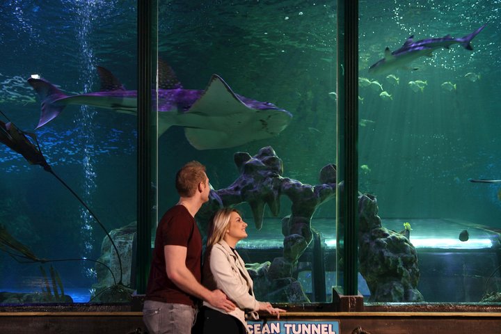 SEA LIFE Blackpool Admission Ticket