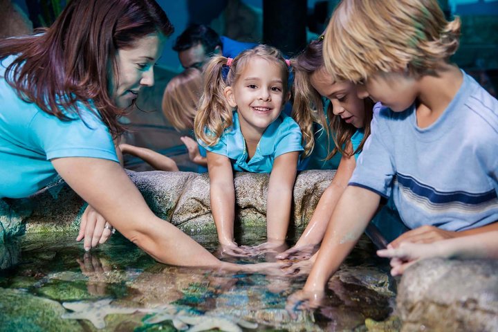SEA LIFE Manchester Admission Ticket