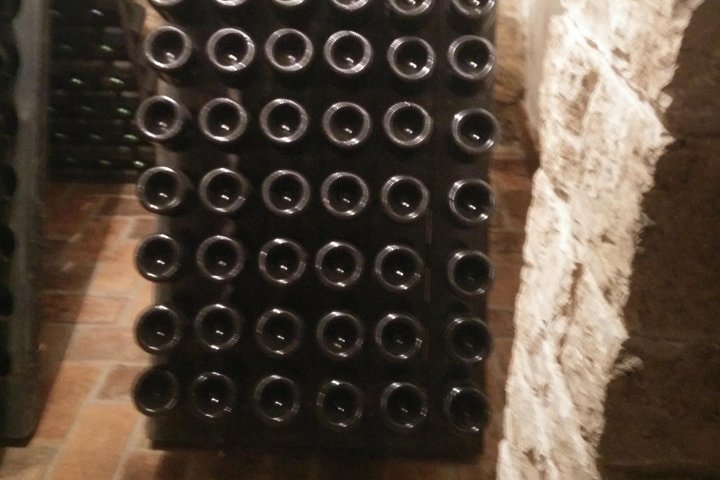 Wine & more Tour , private guided wine tour from ROVINJ & PULA to wine cellars