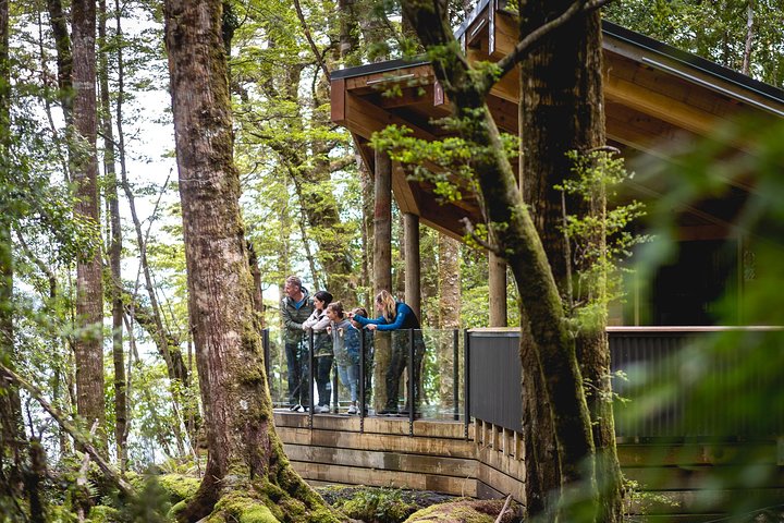 Te Anau Glow Worm Caves Tour