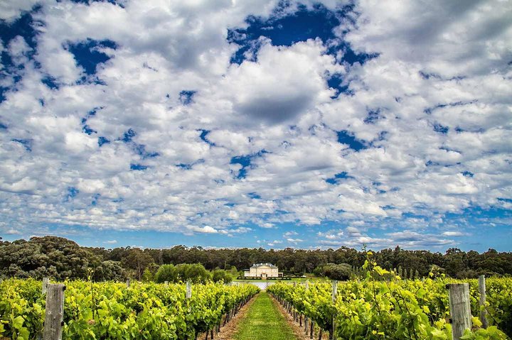 Margaret River ultimate experience for people who don't do tours!