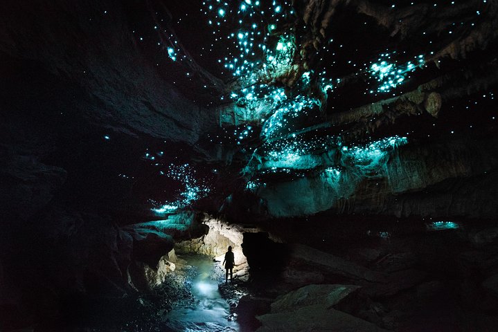 3-Hour Private Photography Tour in Waitomo Caves