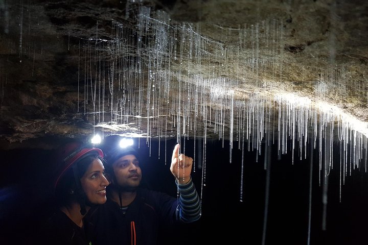 3-Hour Private Photography Tour in Waitomo Caves