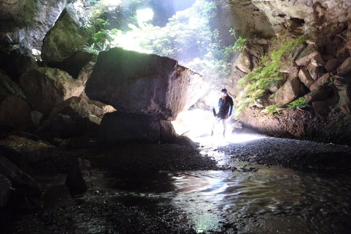 3-Hour Private Photography Tour in Waitomo Caves