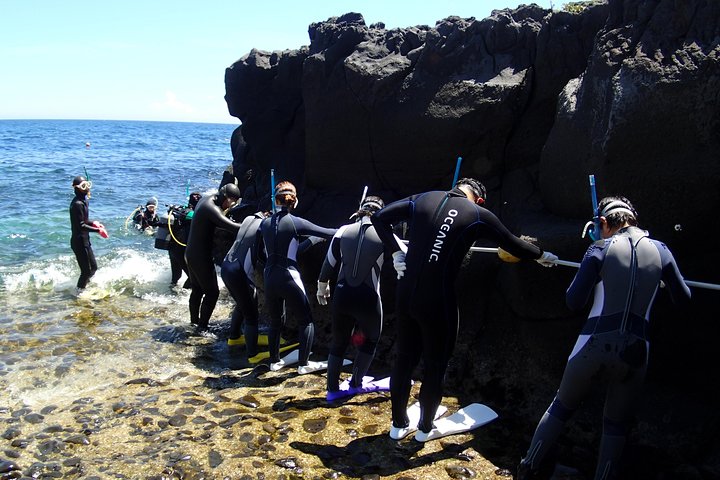 Experience diving　Scuba diving in Japanese waters!!　It's your first time.Beginner to veteran instructors will guide you with kindness and care.