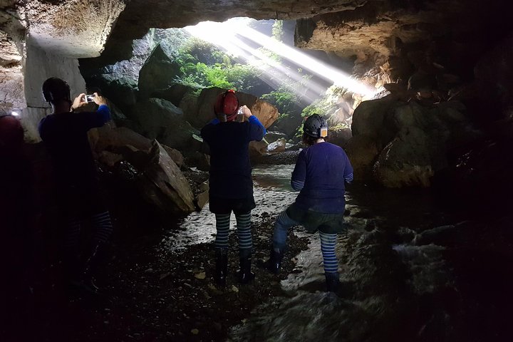 Waitomo’s Hidden Gem: Off the Beaten Track Glowworm Cave Tour
