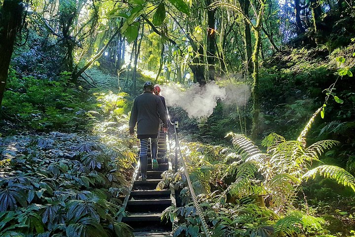 Waitomo’s Hidden Gem: Off the Beaten Track Glowworm Cave Tour