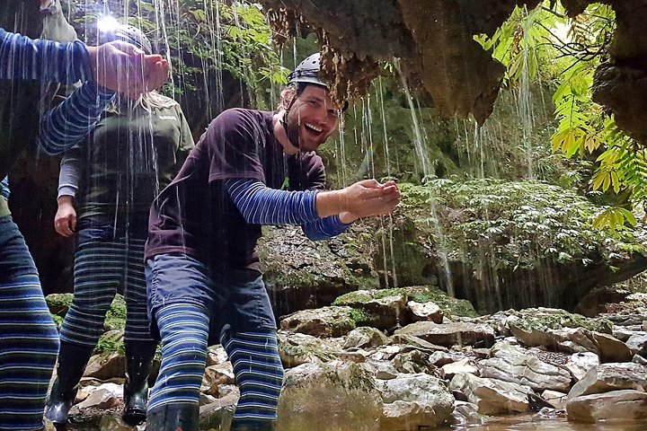 Private Waitomo Glowworm Cave Tours