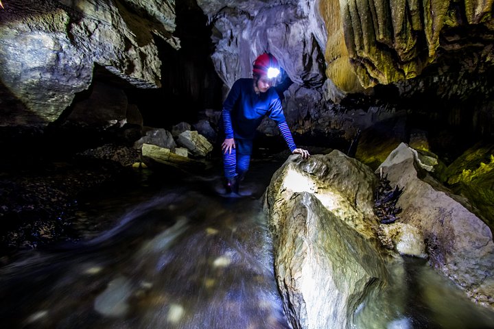 Waitomo’s Hidden Gem: Off the Beaten Track Glowworm Cave Tour