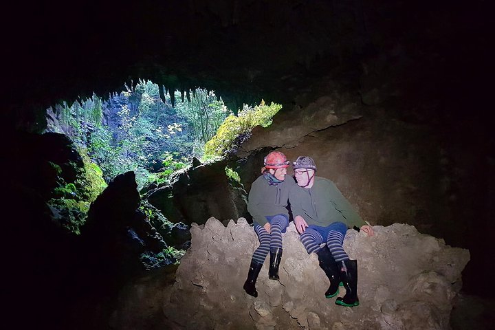 Waitomo’s Hidden Gem: Off the Beaten Track Glowworm Cave Tour