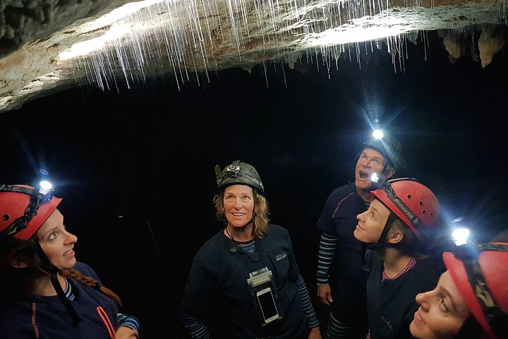 Private Waitomo Glowworm Cave Tours