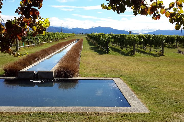 Day of Wine