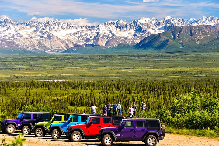 Denali Highway Jeep Excursion