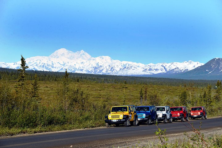 Denali Highway Jeep Excursion